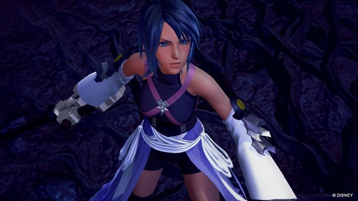 Kingdom Hearts HD 2.8 Final Chapter Prologue